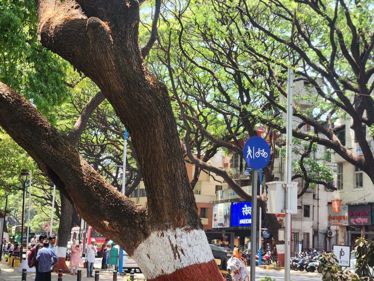 पुणे ❤️🍃