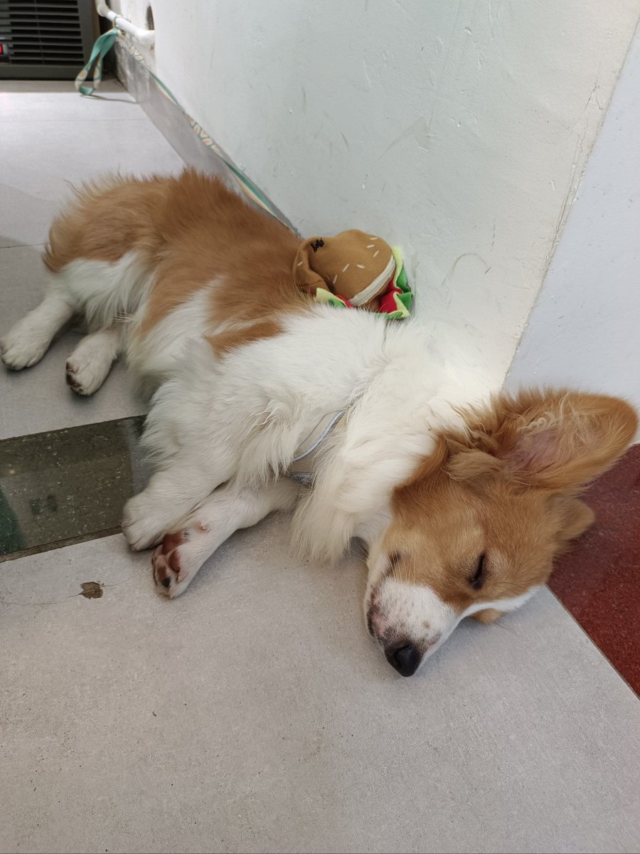 nenimonet tweet media