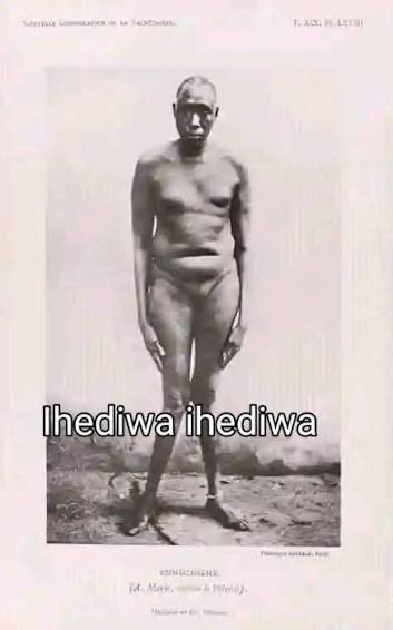 Zippidy zoopus tweet media