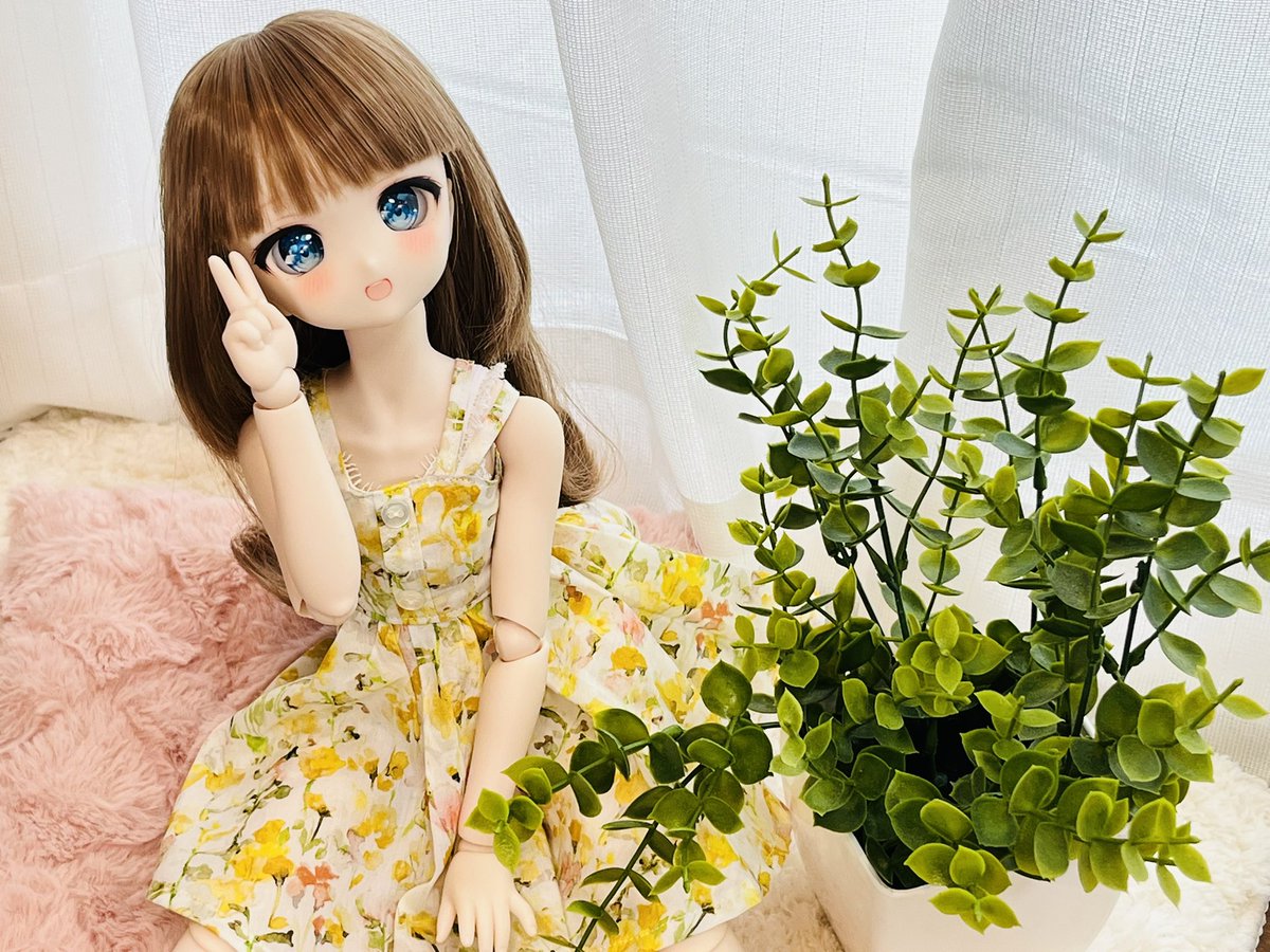 ドーラ tweet media