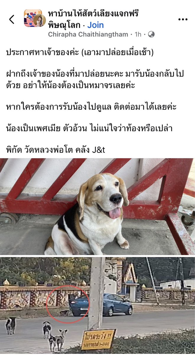 Ordinaryfern tweet media