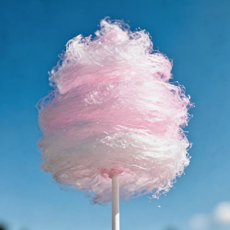 Venus กับลูกสาวทั้ง7 tweet media