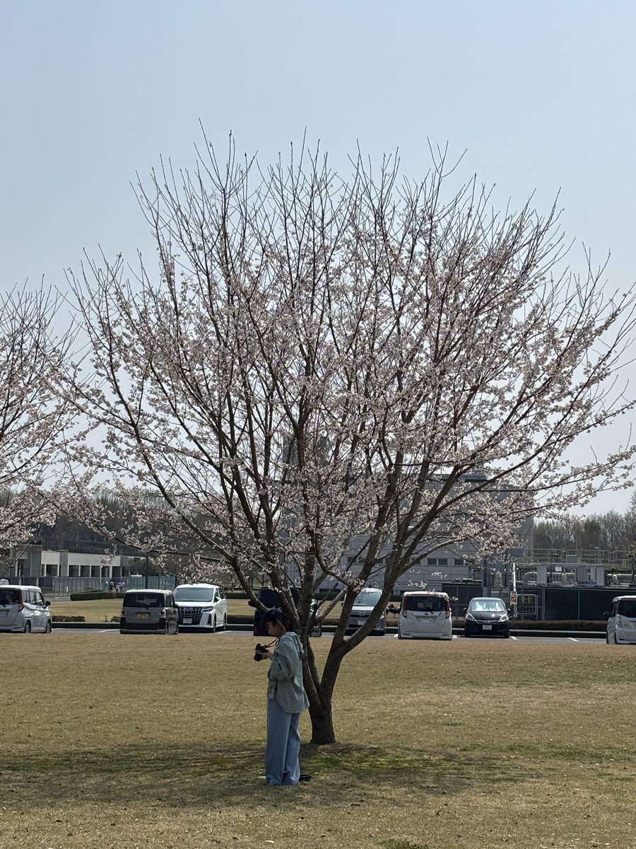 きょう tweet media