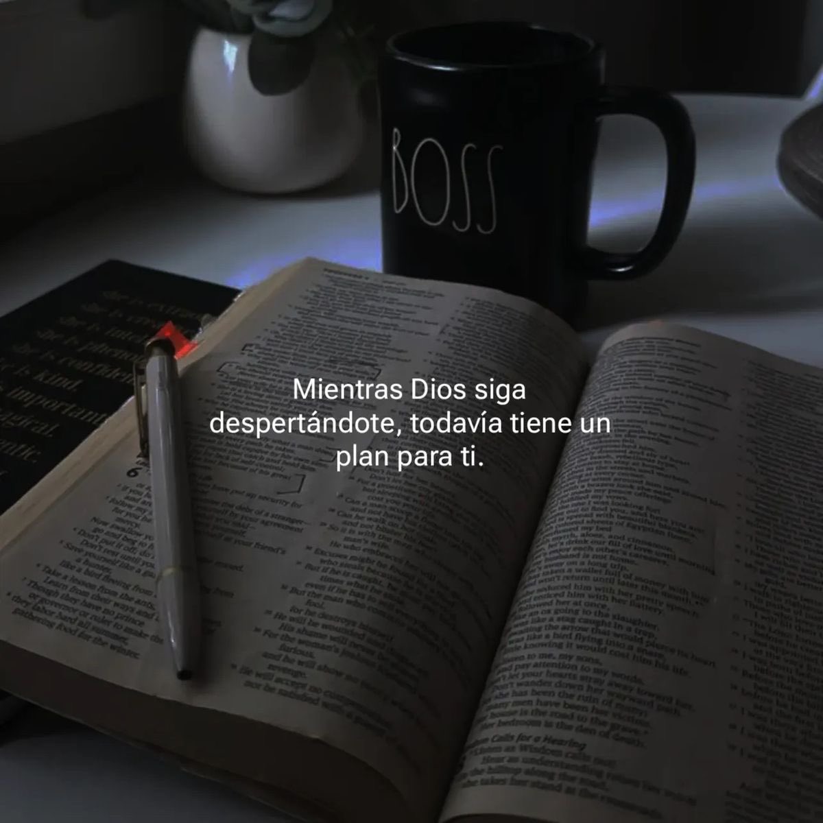 Aroma de Jesús (@aromadejesus) on Twitter photo 