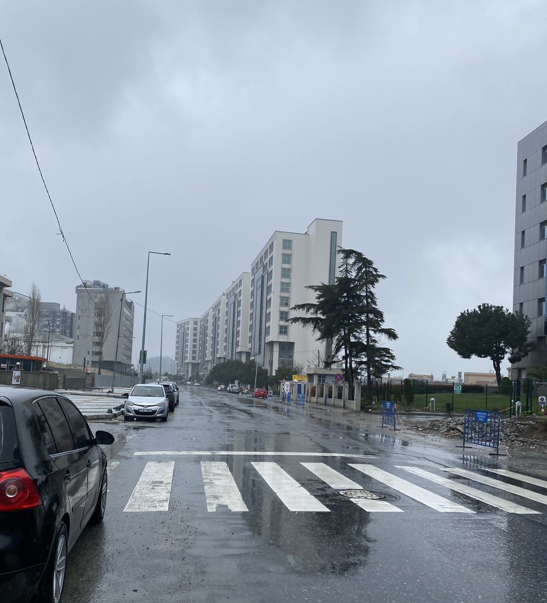 peter pan 💎 tweet media