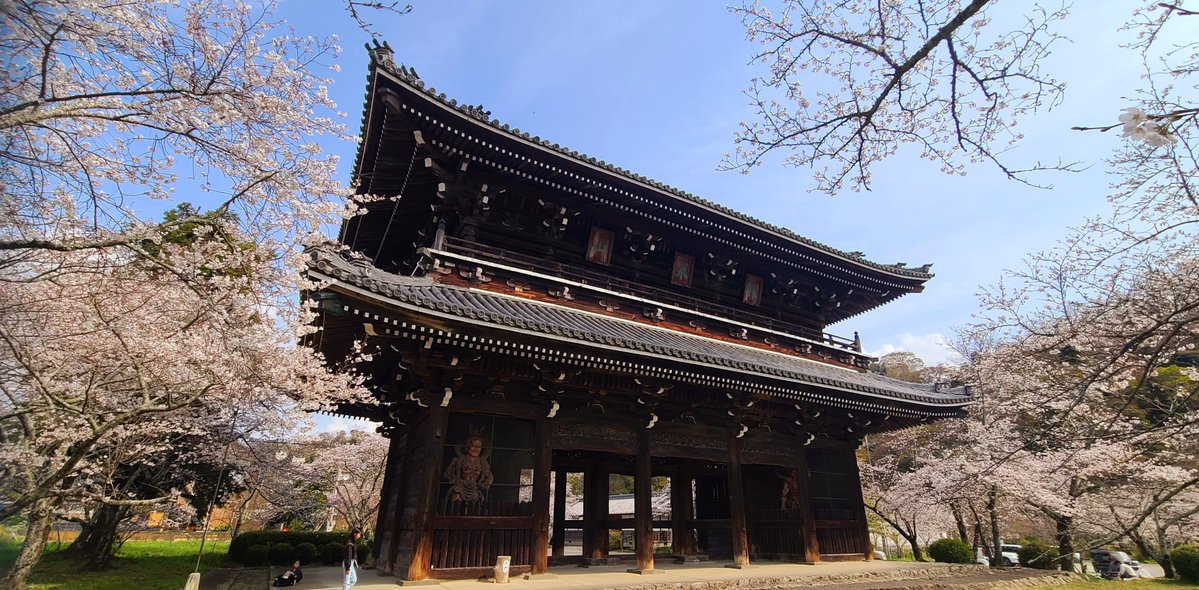 様式美🐰投資メタラー tweet media