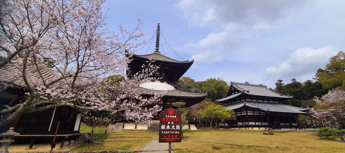 様式美🐰投資メタラー tweet media