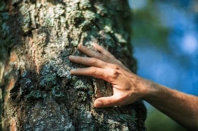 marisa || conrad fisher's left hand pr manager tweet media