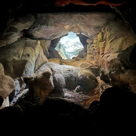 Parque de Cabárceno tweet media