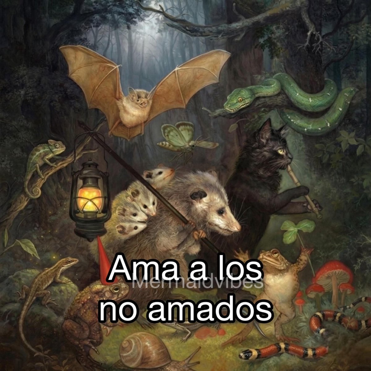 Más Ciencia tweet media