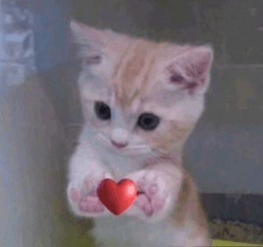 Hyeongjun tweet media