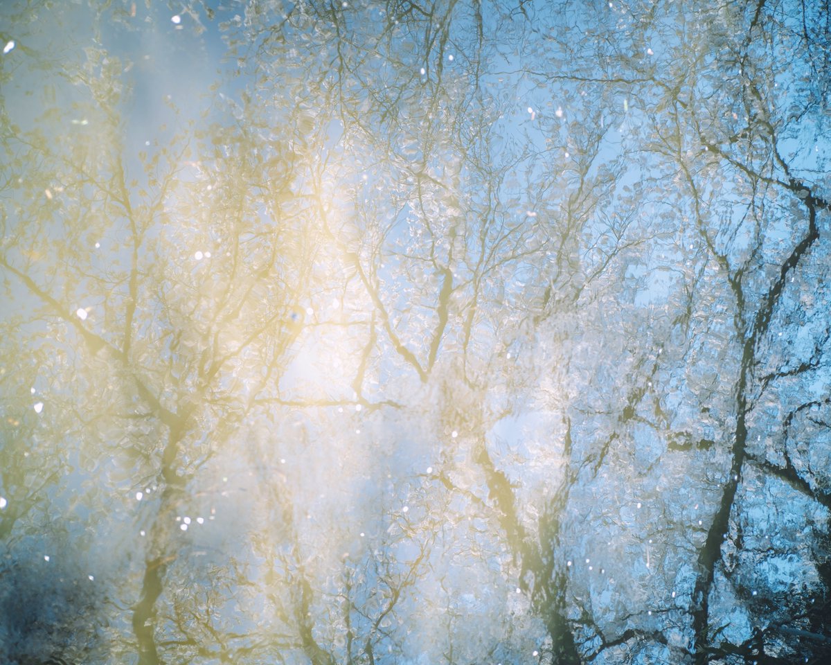 KEITH INOUE tweet media