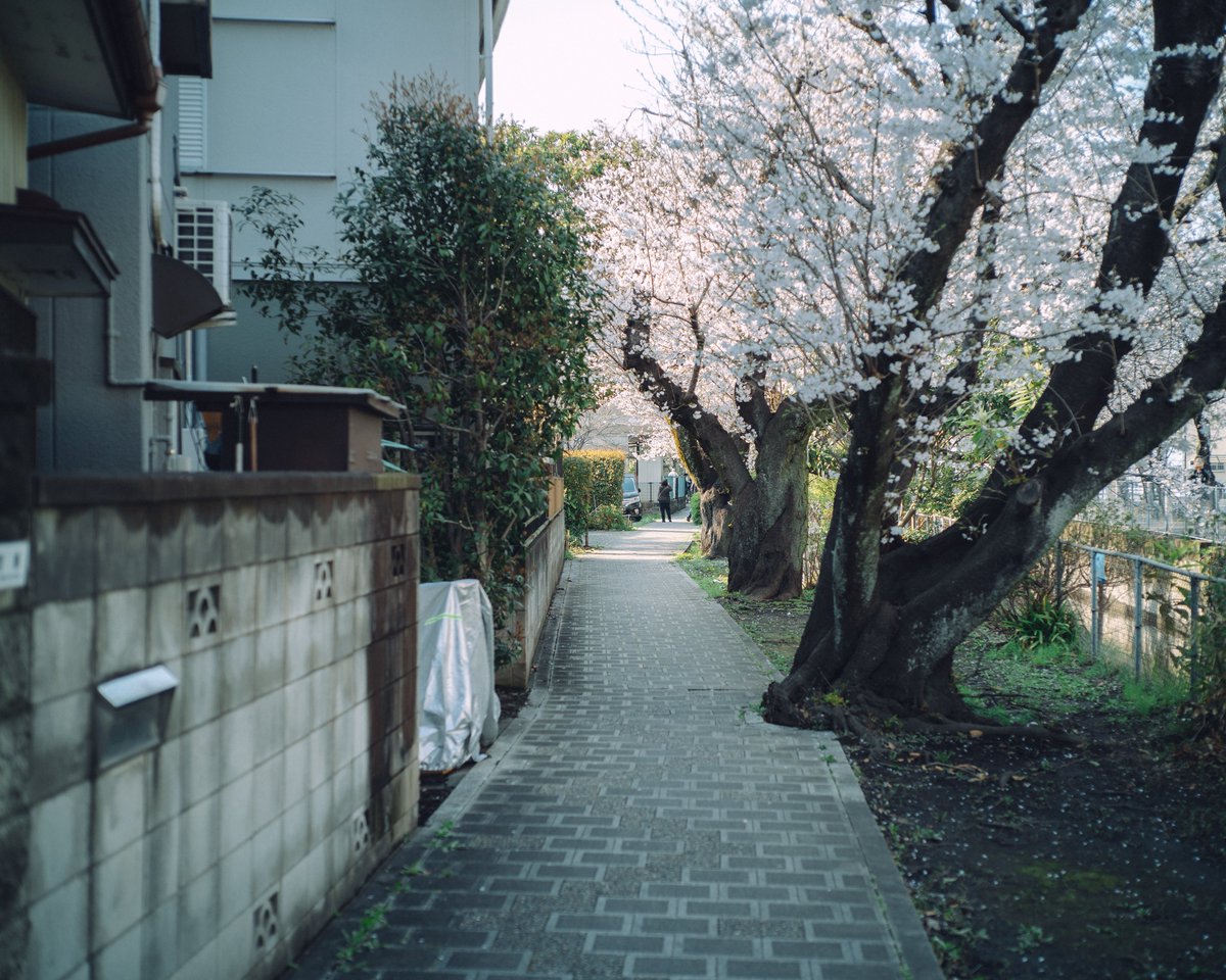 KEITH INOUE tweet media