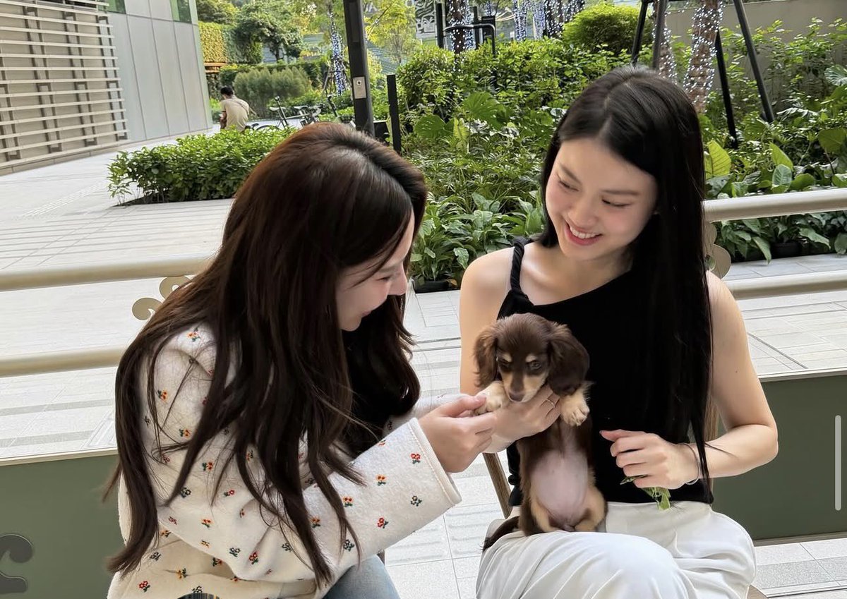 2026* ༘ tweet media