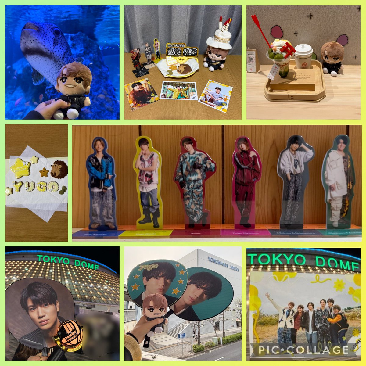 にゃび。 tweet media