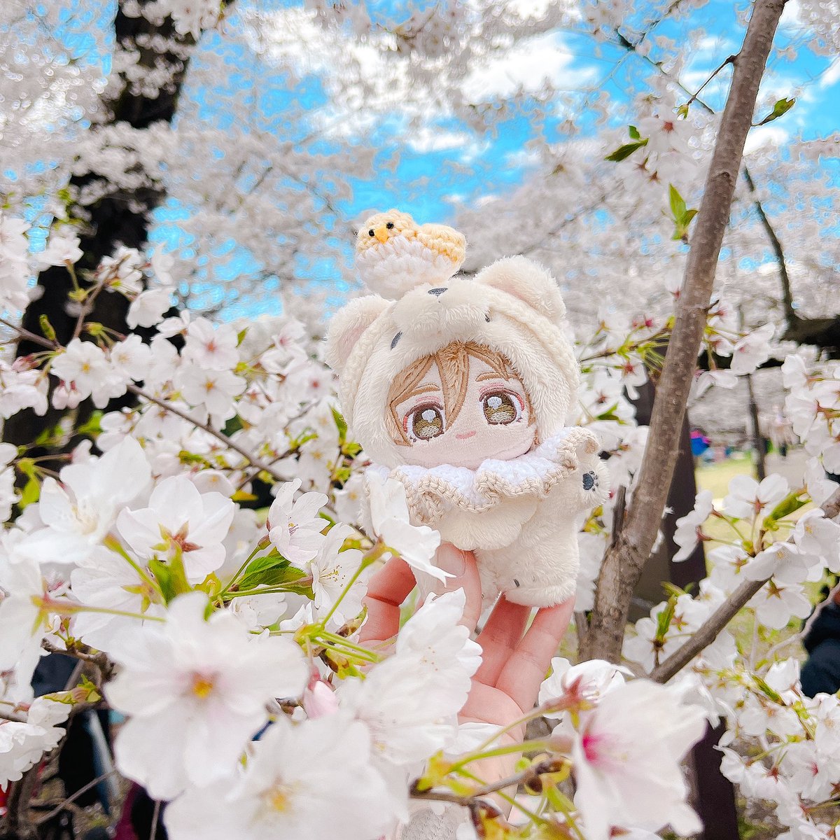 ʚʀᴀʀᴀɞ tweet media