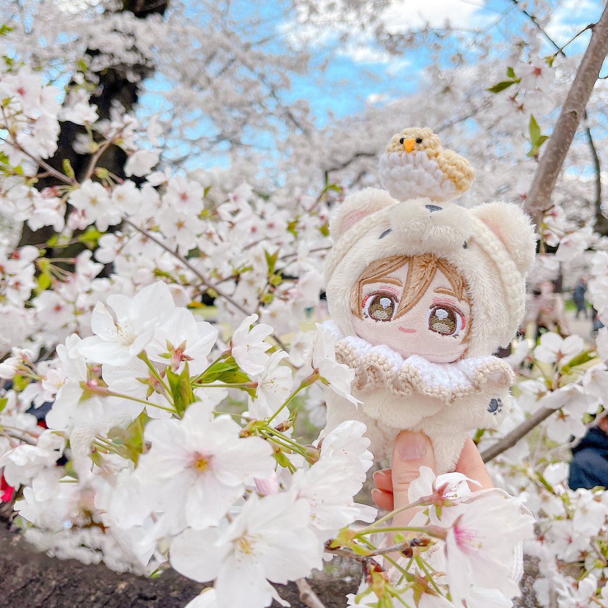 ʚʀᴀʀᴀɞ tweet media