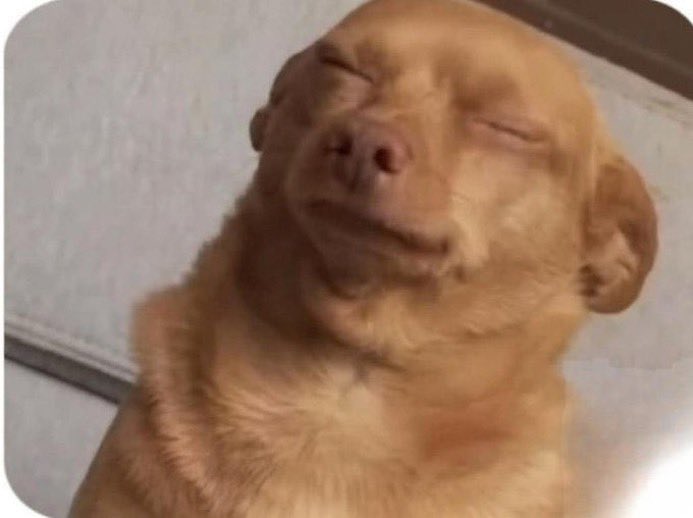 zakk blizz 📊📈🗿 tweet media