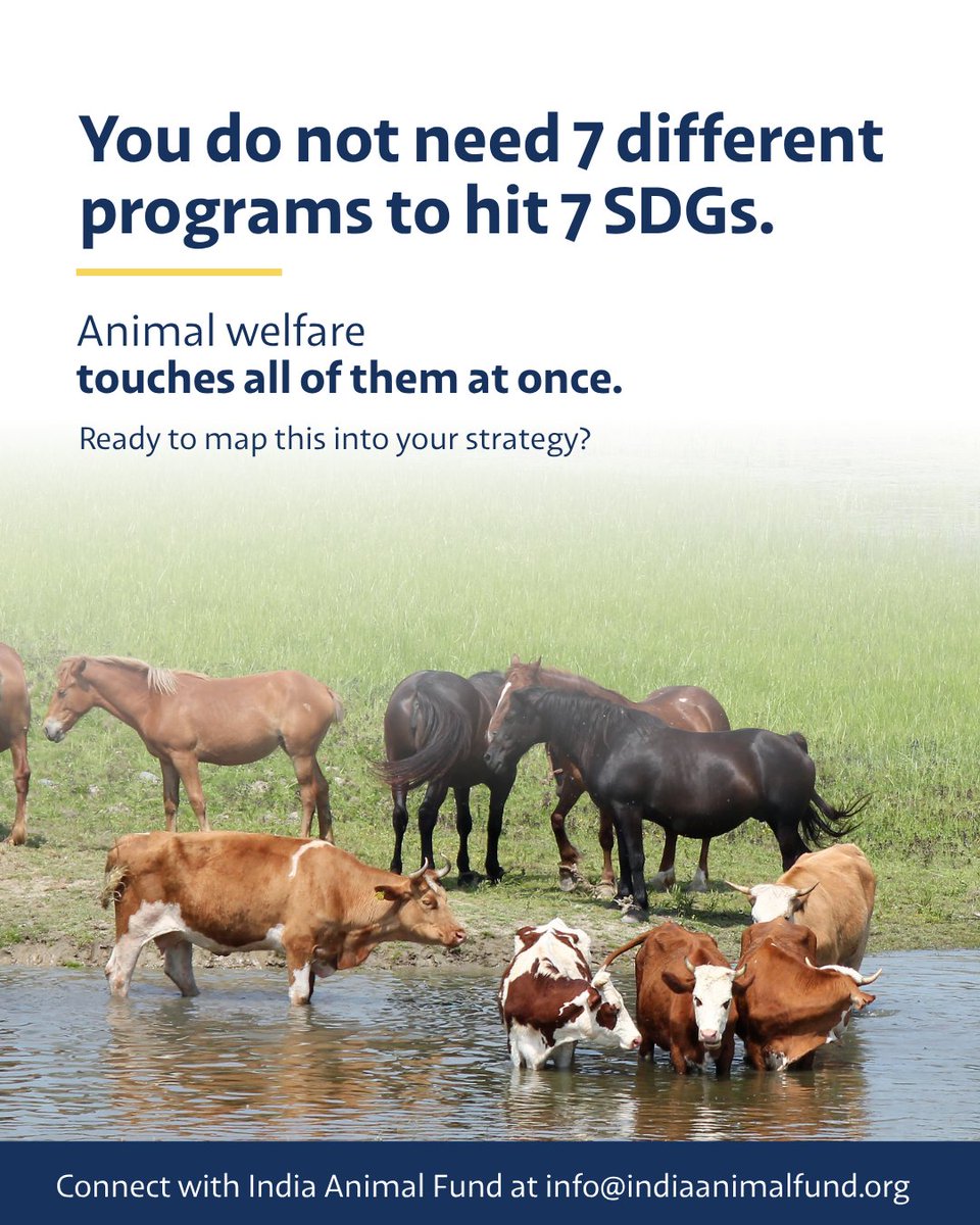 India Animal Fund tweet media