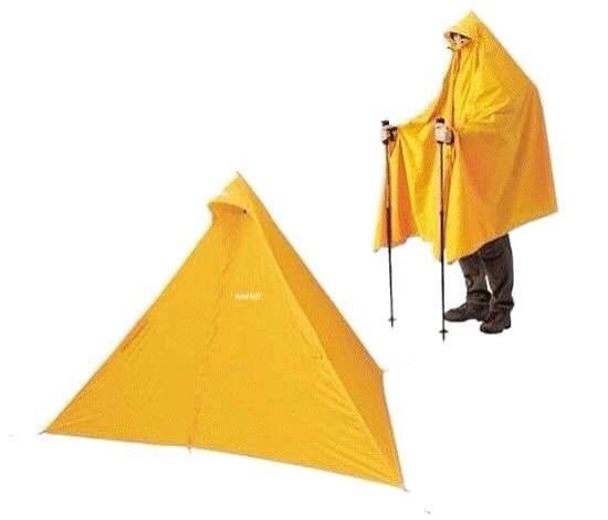 dim_litcorridor tweet media