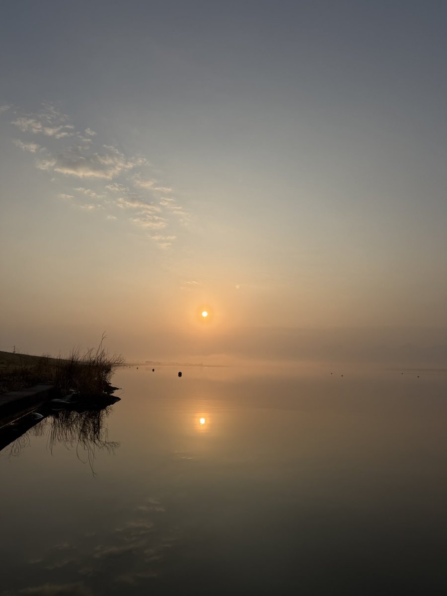 あっしー tweet media