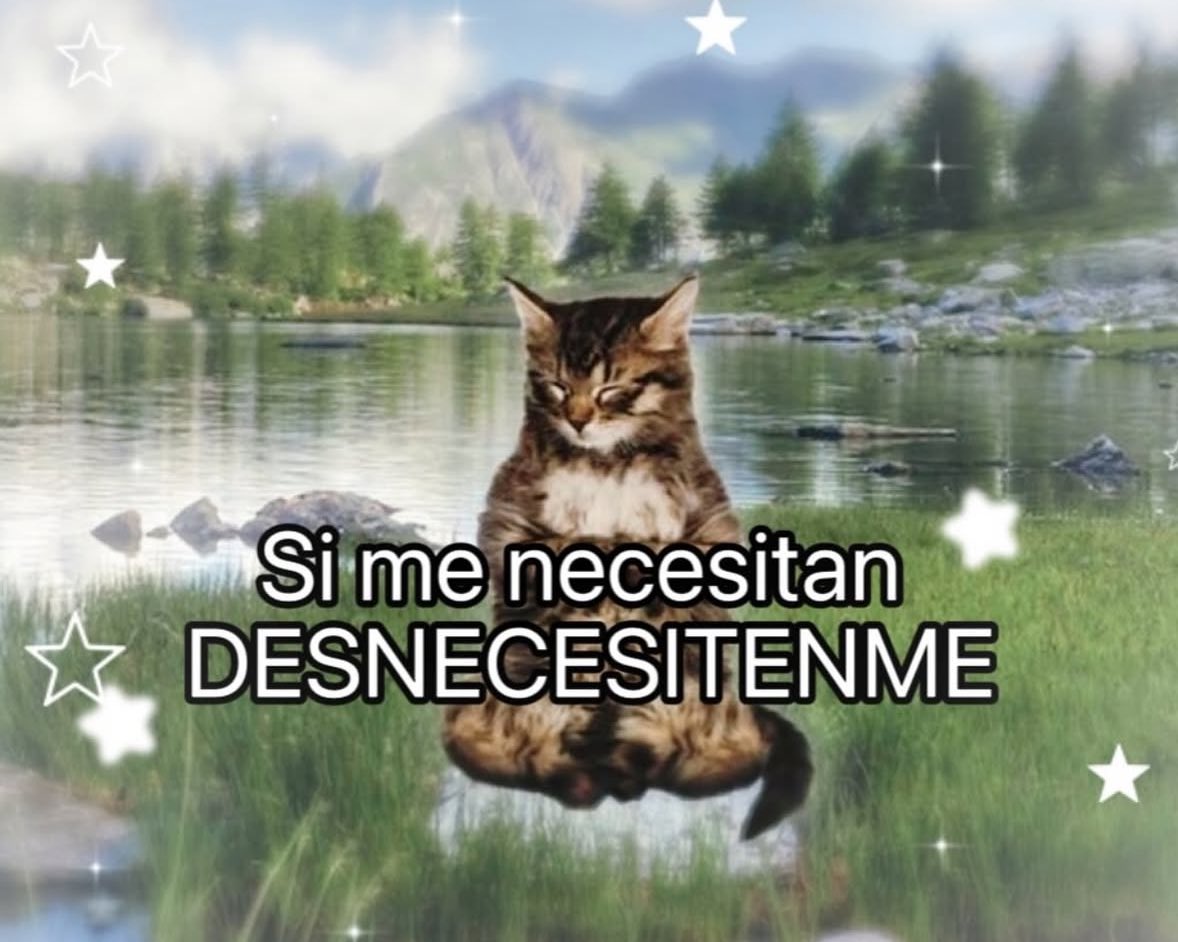 Elena 🌼 tweet media