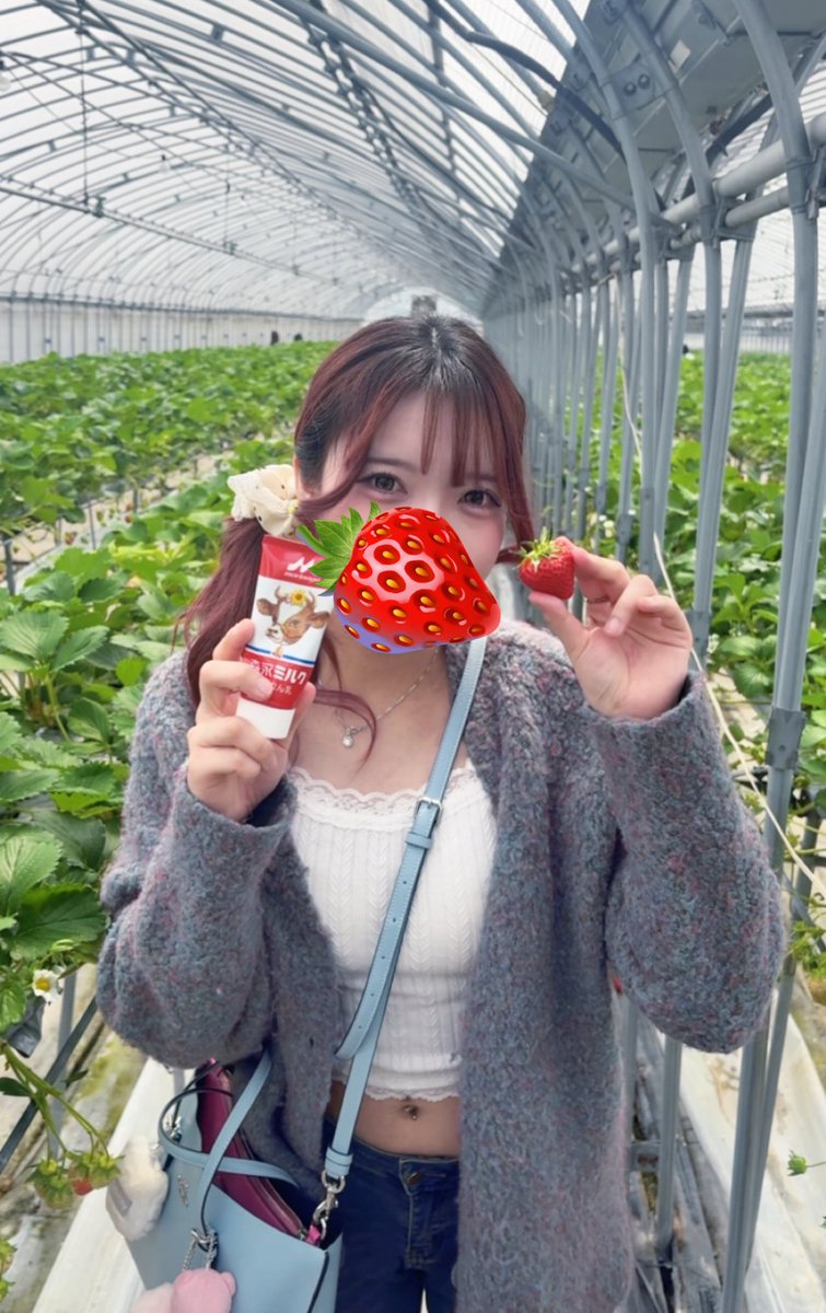 あおぴぴンゴ🎀 tweet media