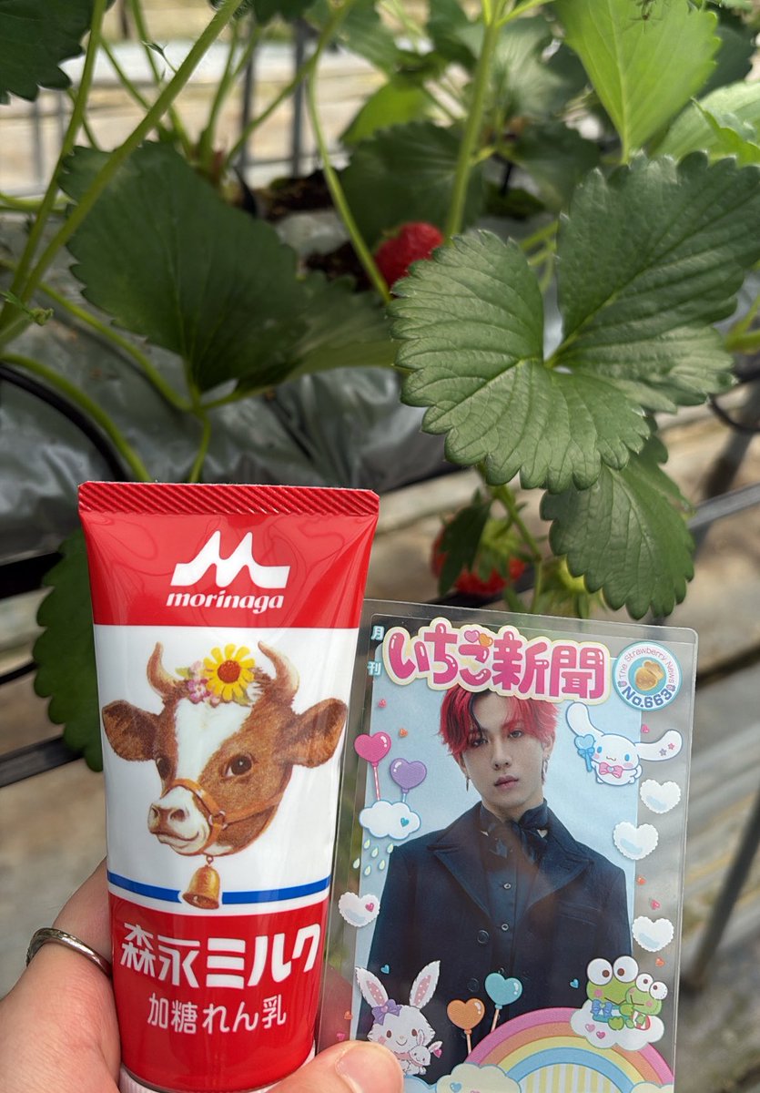 あおぴぴンゴ🎀 tweet media