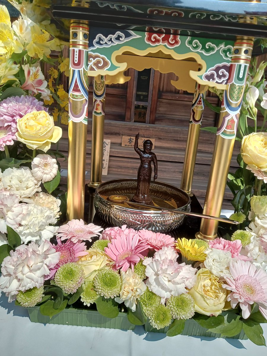 ⚽ヒロ⛹️‍♂️ tweet media