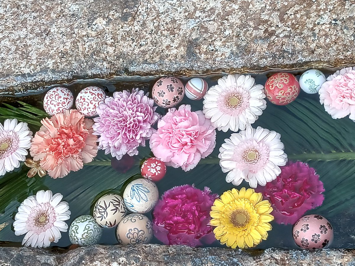 ⚽ヒロ⛹️‍♂️ tweet media