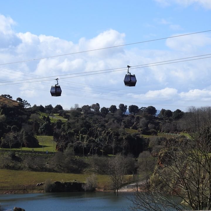 Parque de Cabárceno tweet media