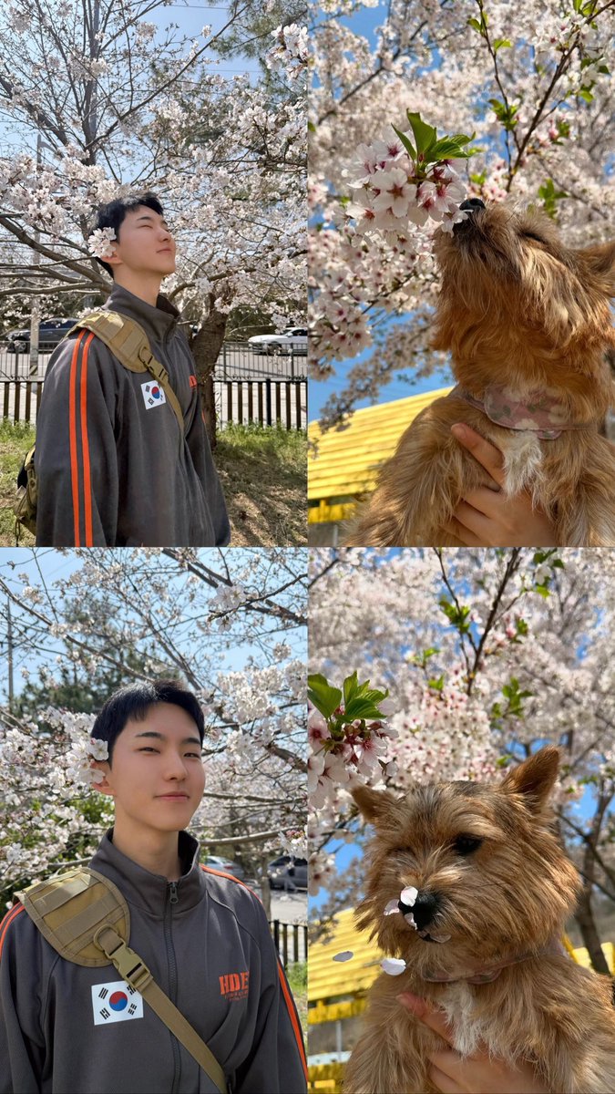 ej marie ❀ tweet media