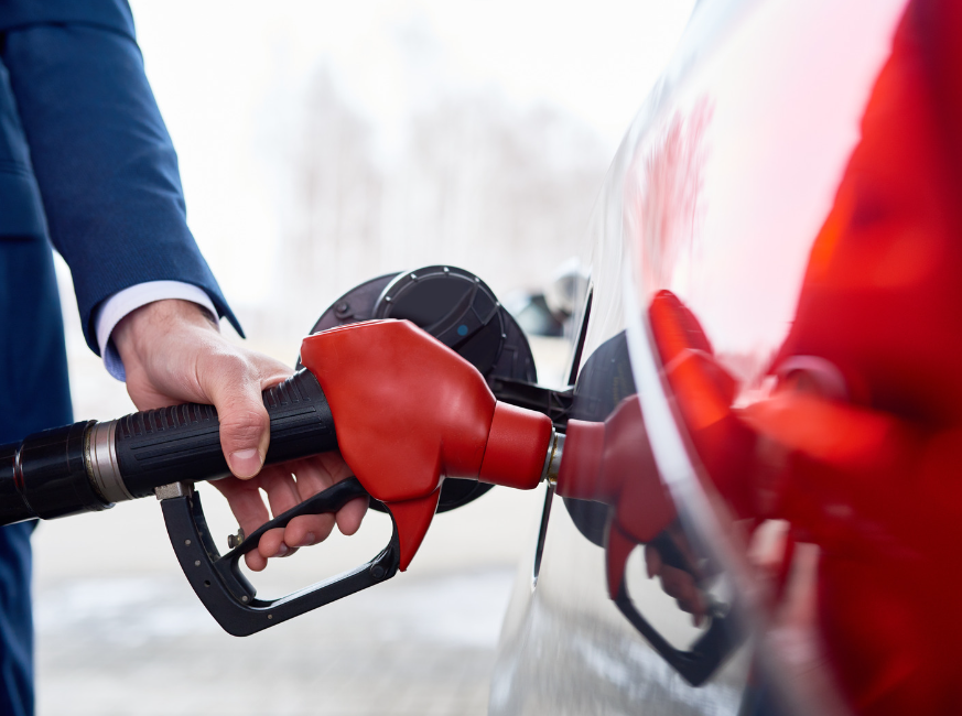 Whitley Stimpson tweet media