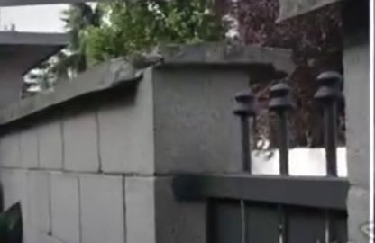 DeaNera 🦂🍓 tweet media