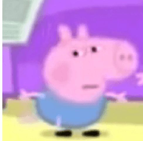 ｡𖦹°‧ 𝑪𝒂𝒕𝒚𐙚 ̊.-𝟏𝟎𝐤𝐠 tweet media