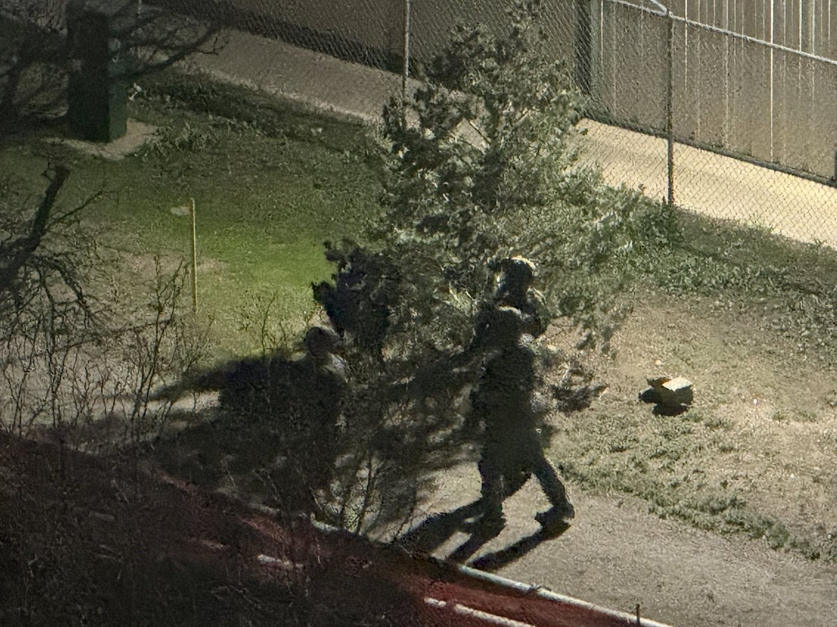 Vincent Mineault tweet media