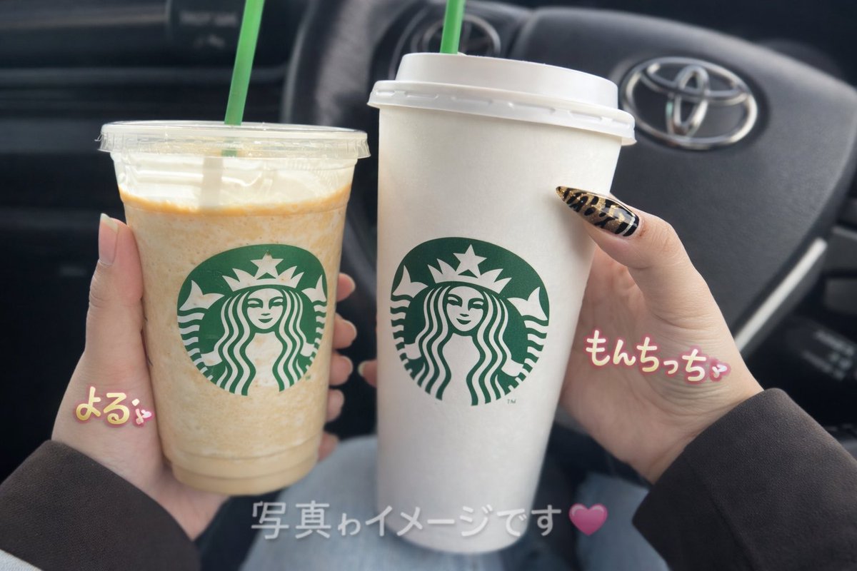 м®*もんちっち* tweet media