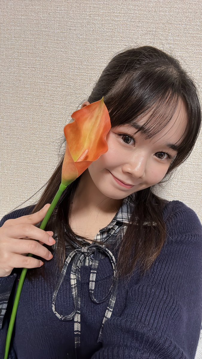 札幌美少女図鑑【公式】 tweet media