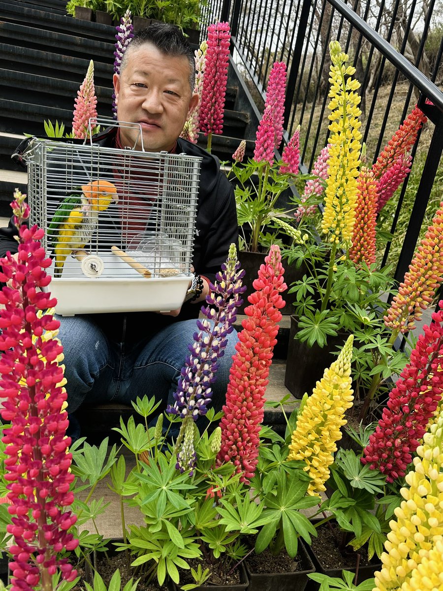 関根浩 tweet media