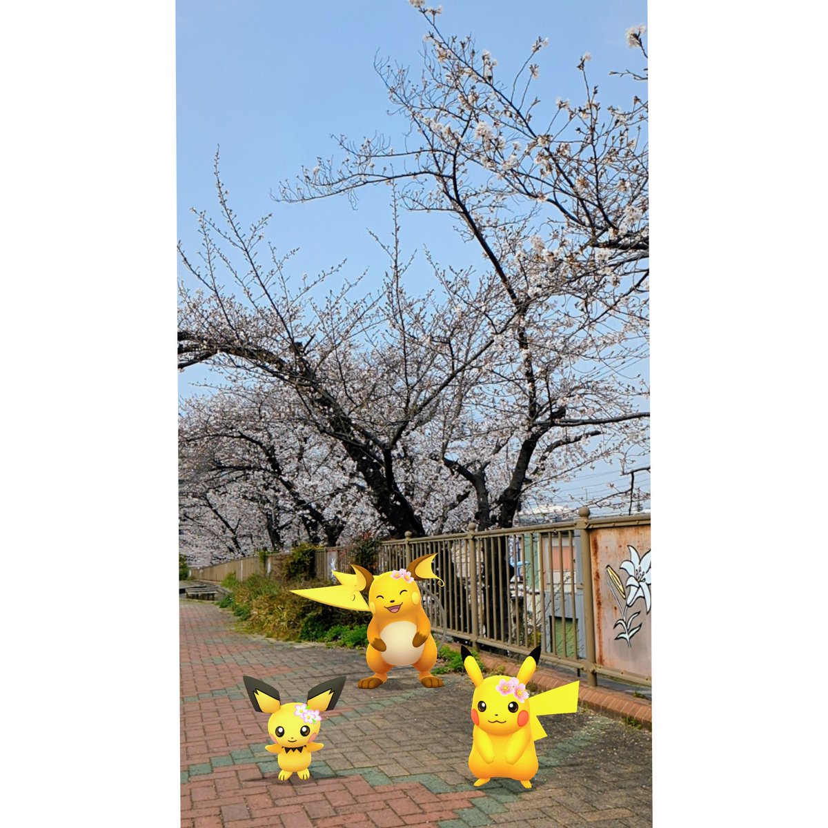 suisuiyahchan's tweet image. 春色、三世代。🌸
あっちの枝もきれいだな💭
#ARofTheDay
#GOsnapshot
#GOsnapshotCelebration