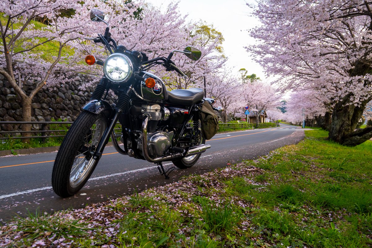 りにあ💮🌈 tweet media