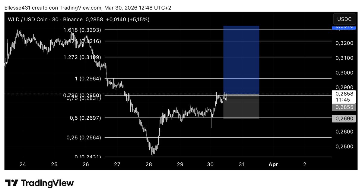 Leo 🦁 tweet media