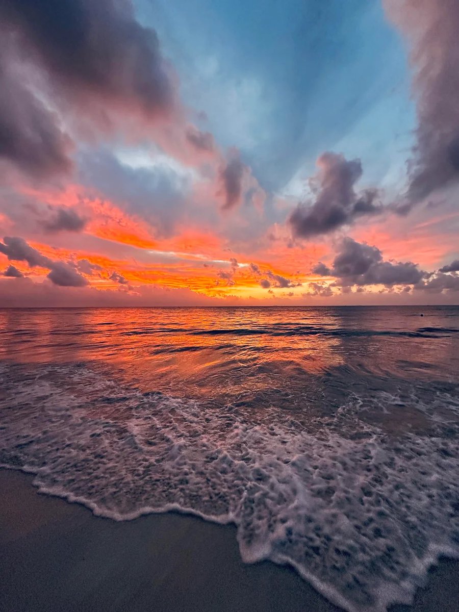 🌷Diane 🌷 tweet media