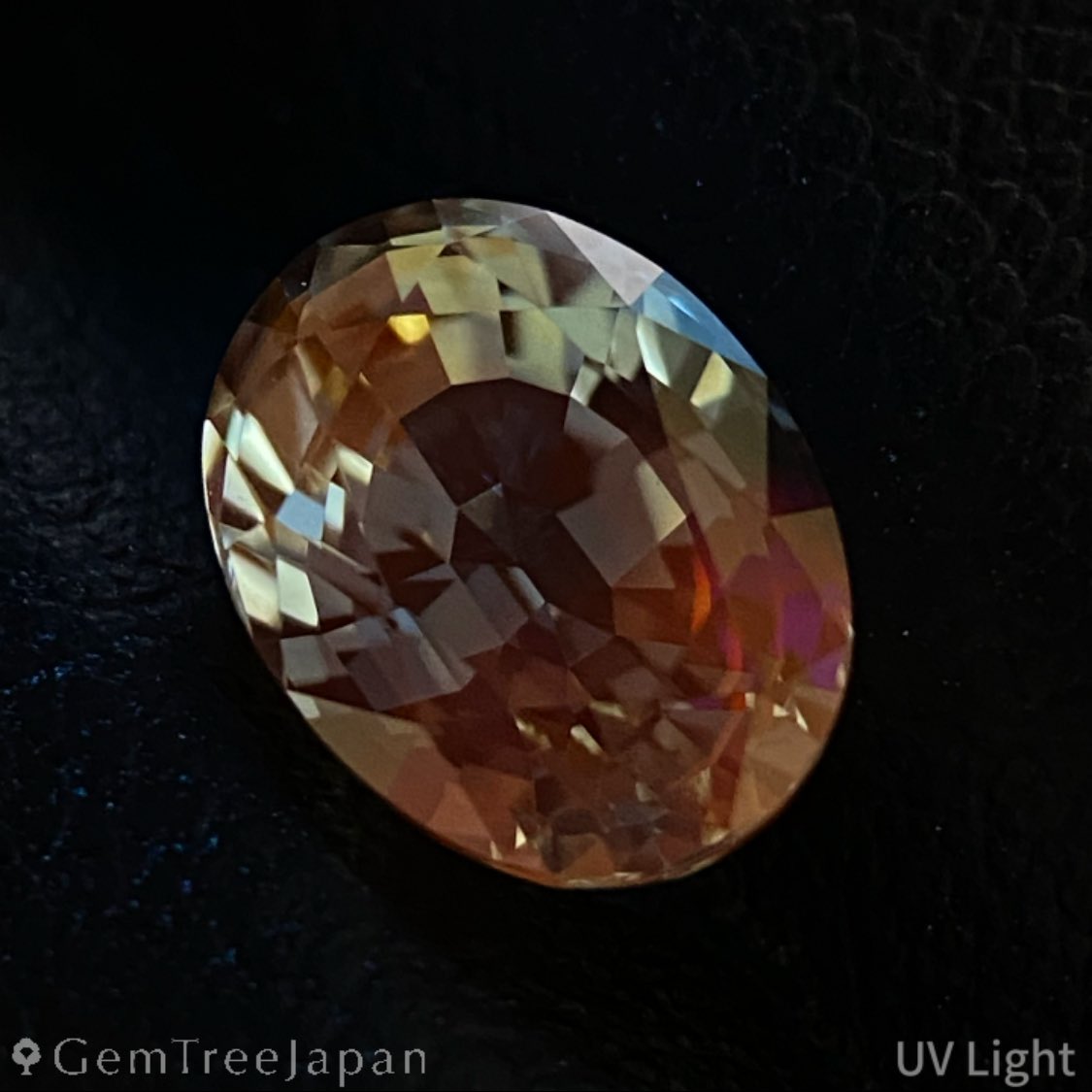 GemTreeJapan tweet media