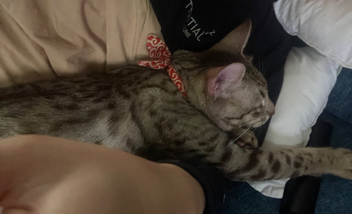 shun nagai @Aftertalk tweet media