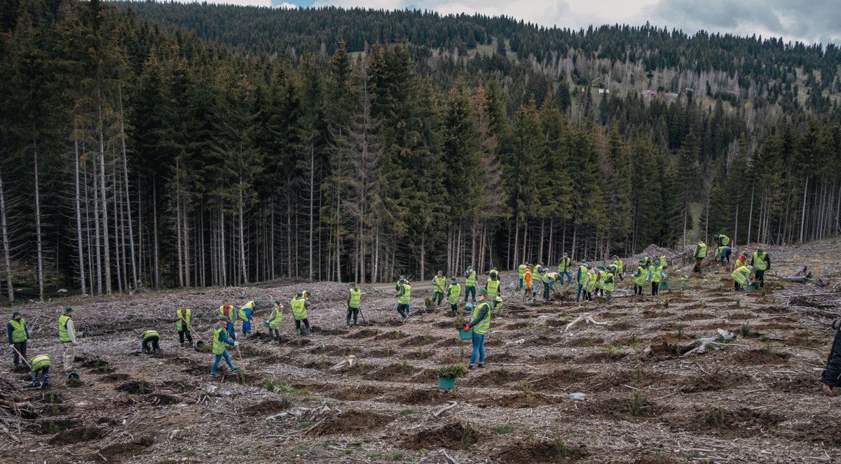 Brave Romania tweet media