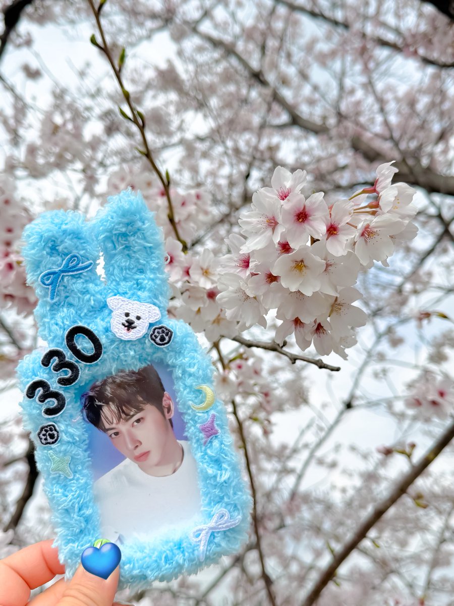 まいまい tweet media