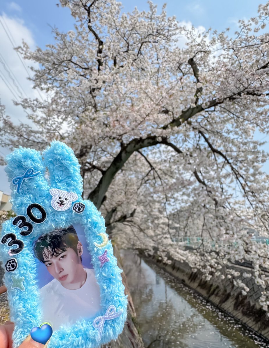 まいまい tweet media