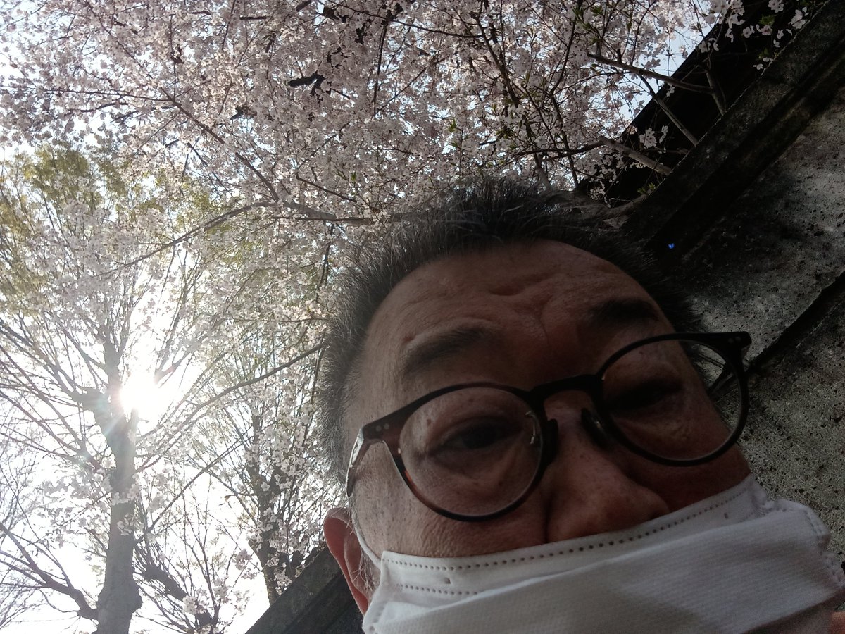 さとる🐳🐳 tweet media