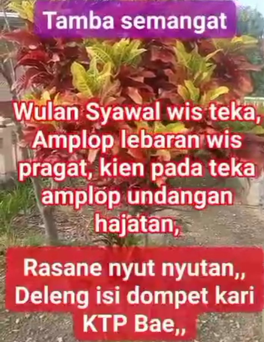 Ande Loemoet tweet media